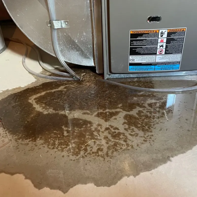 Pipe Burst and Leak Restoration in Arlington County, VA